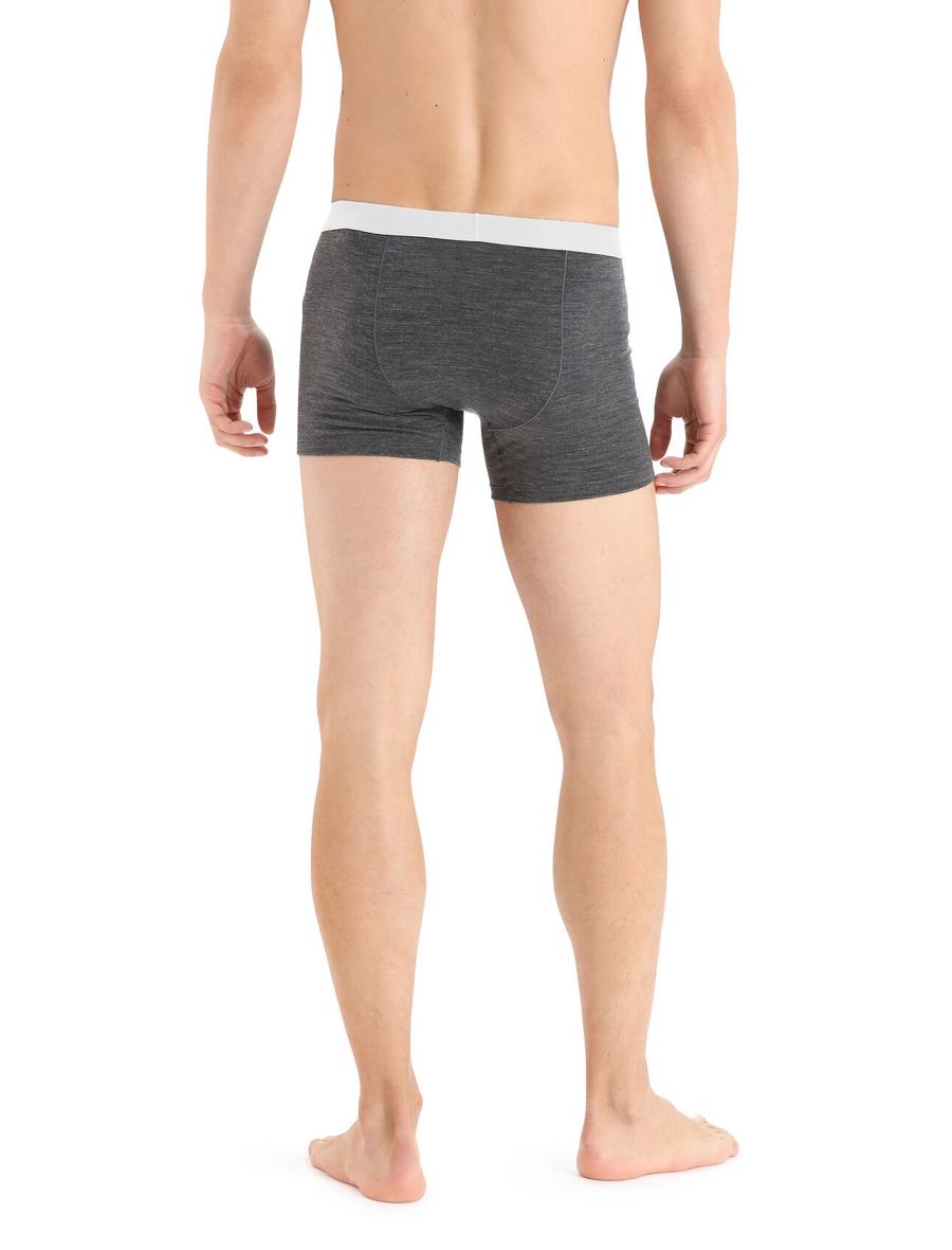 Sous Vêtement Icebreaker Cool-Lite™ Merino Anatomica Boxers Homme Taupe | FR 1319VRWD